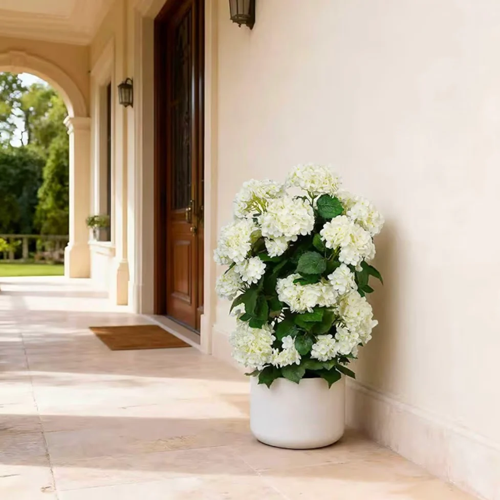 Plantas
